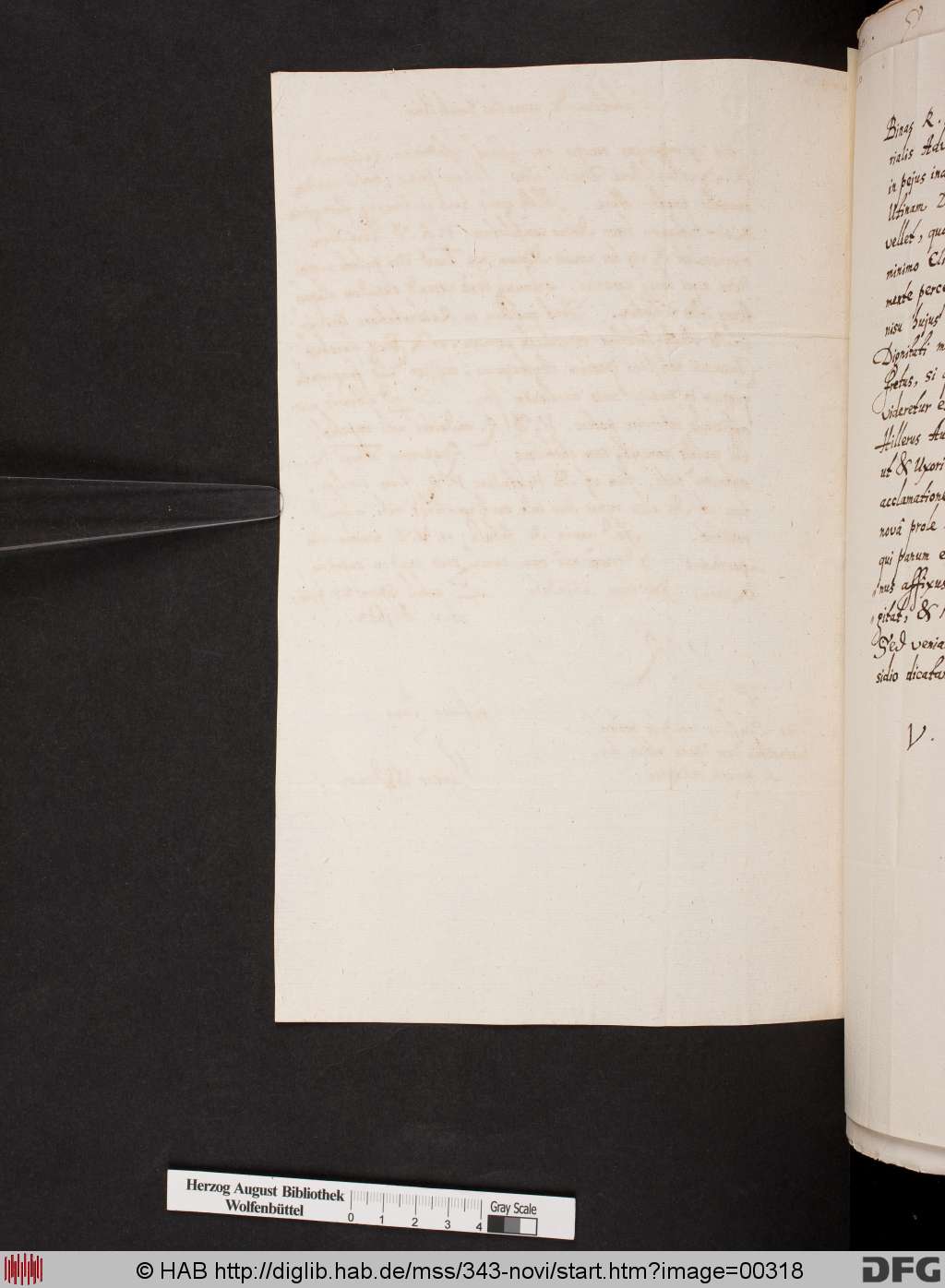 http://diglib.hab.de/mss/343-novi/00318.jpg
