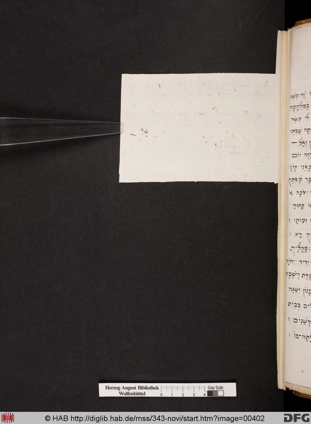 http://diglib.hab.de/mss/343-novi/00402.jpg
