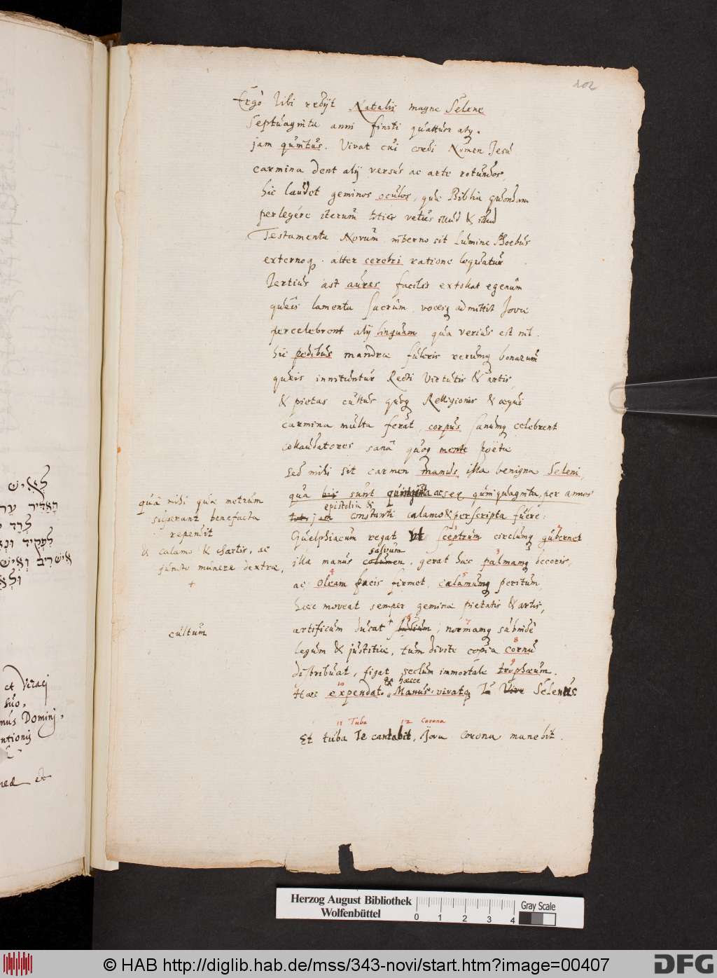 http://diglib.hab.de/mss/343-novi/00407.jpg