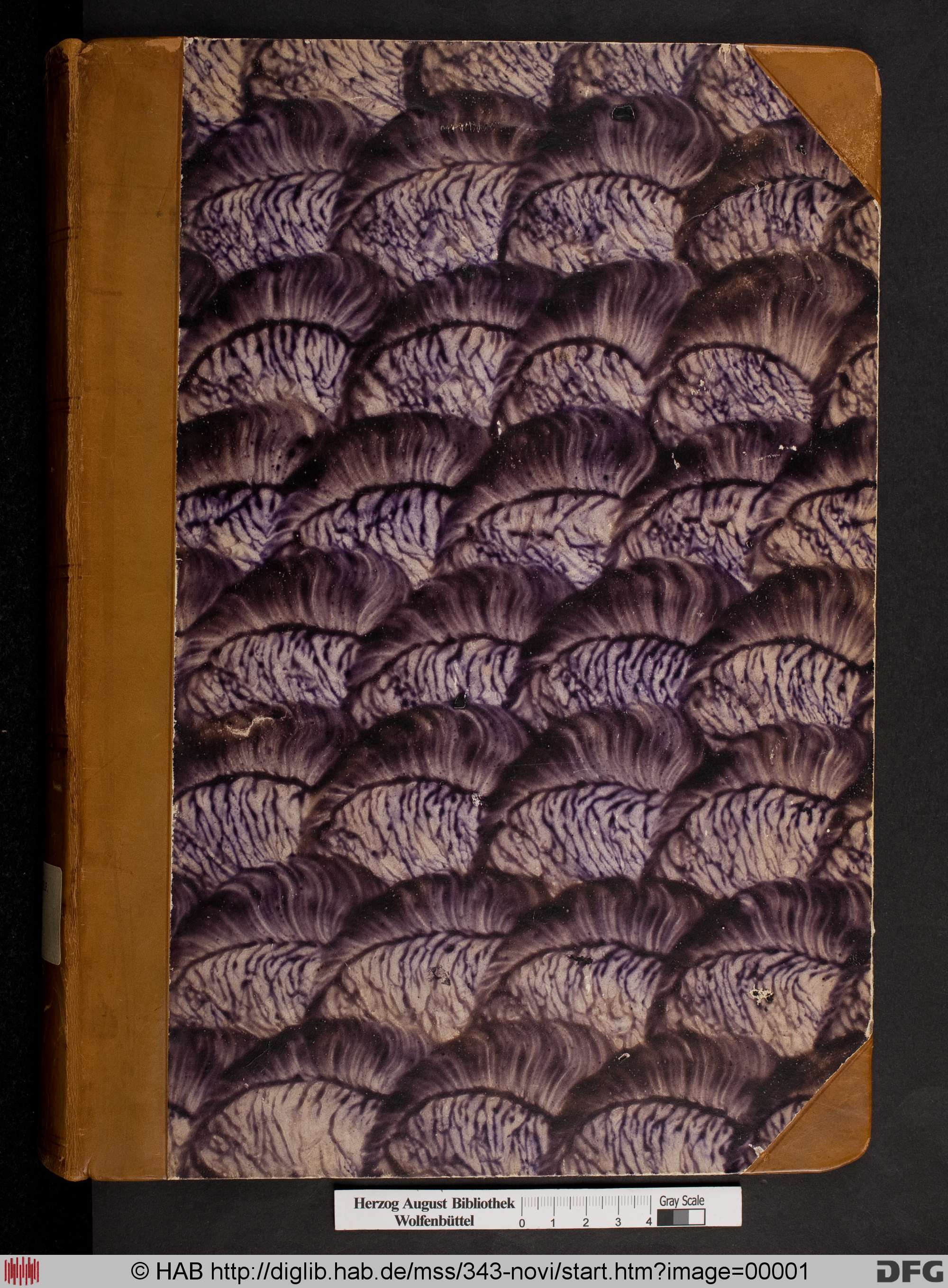 http://diglib.hab.de/mss/343-novi/max/00001.jpg