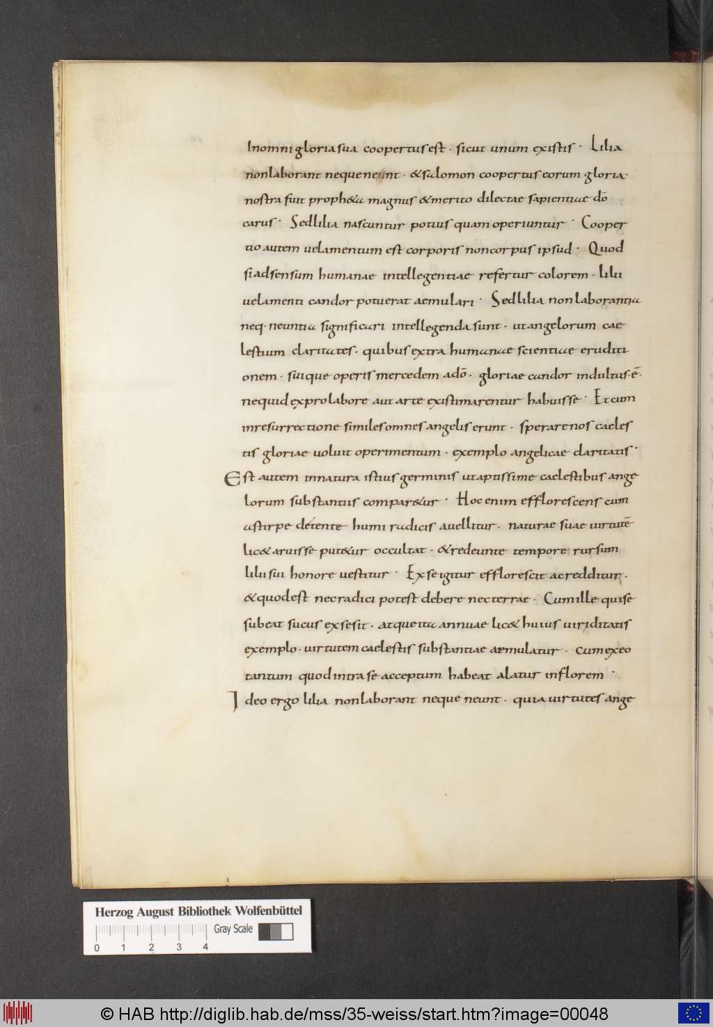 http://diglib.hab.de/mss/35-weiss/00048.jpg