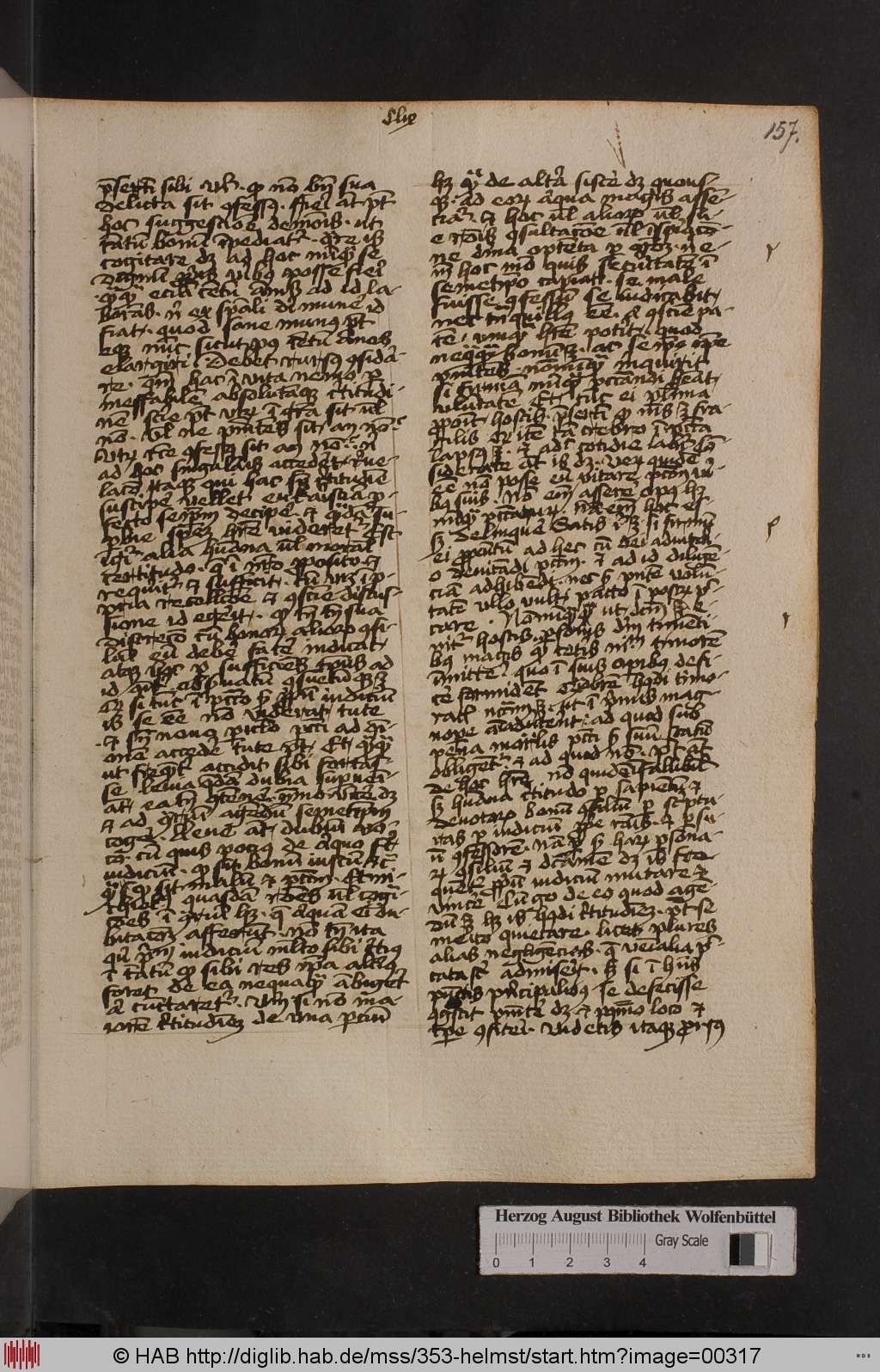 http://diglib.hab.de/mss/353-helmst/00317.jpg