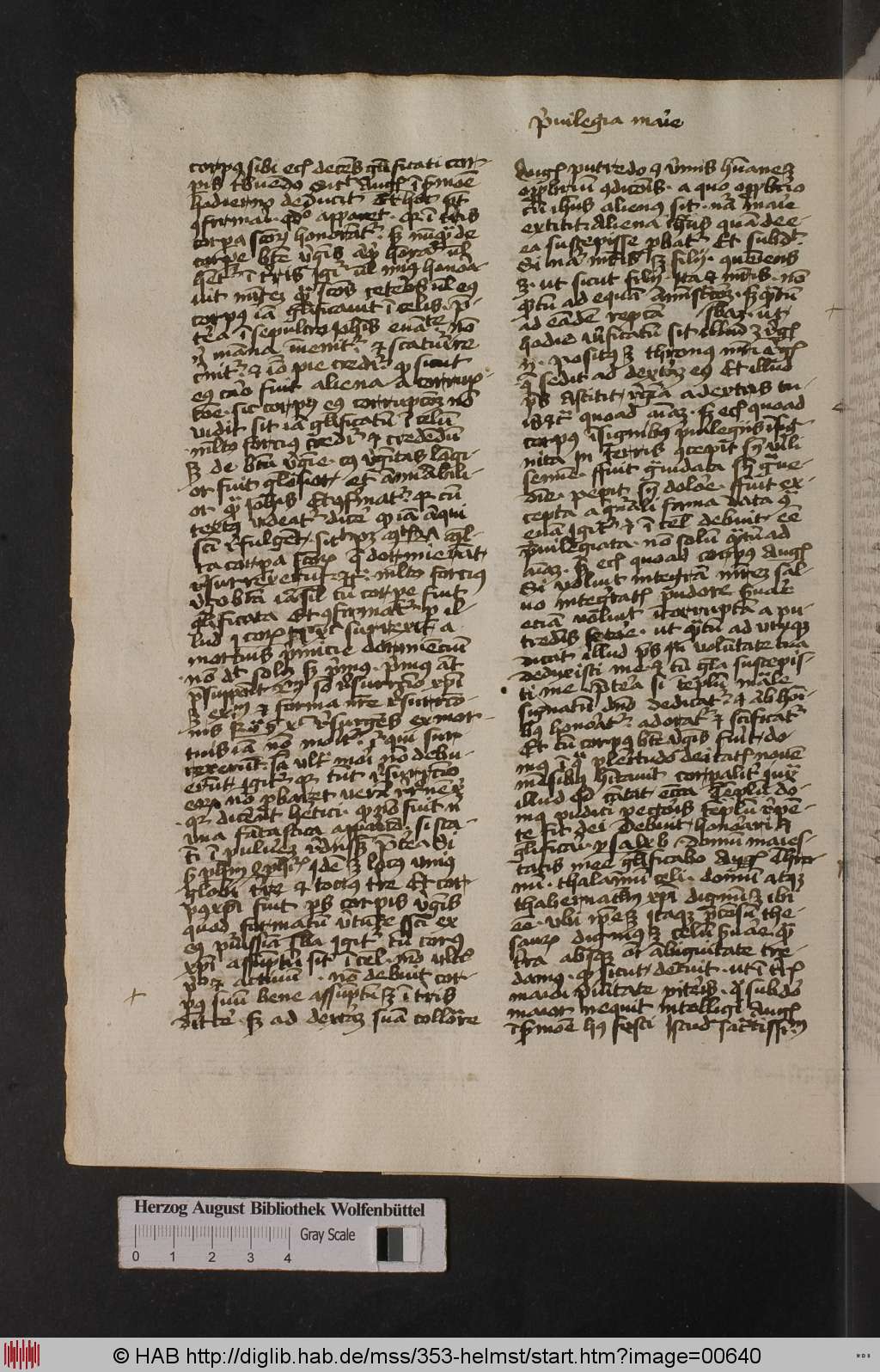 http://diglib.hab.de/mss/353-helmst/00640.jpg