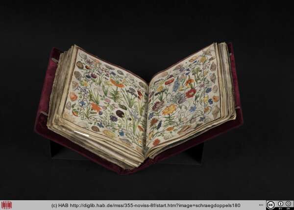 http://diglib.hab.de/mss/355-noviss-8f/min/schraegdoppels180.jpg