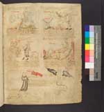 Cod. Guelf. 35a Helmst. — Physiologus - Biblia pauperum — Österreich, 1340/50