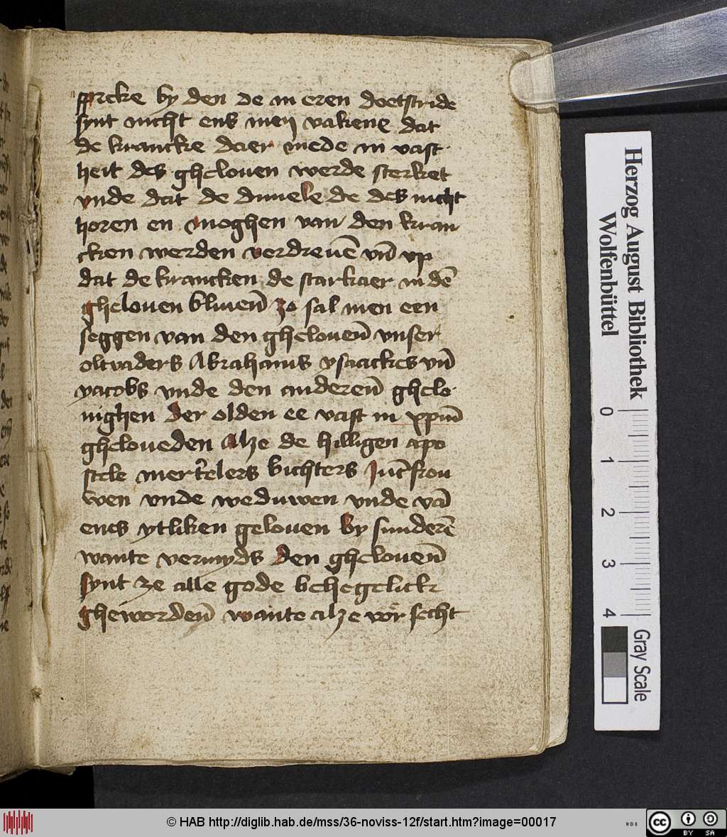 http://diglib.hab.de/mss/36-noviss-12f/00017.jpg