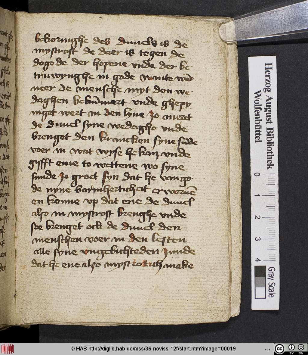 http://diglib.hab.de/mss/36-noviss-12f/00019.jpg