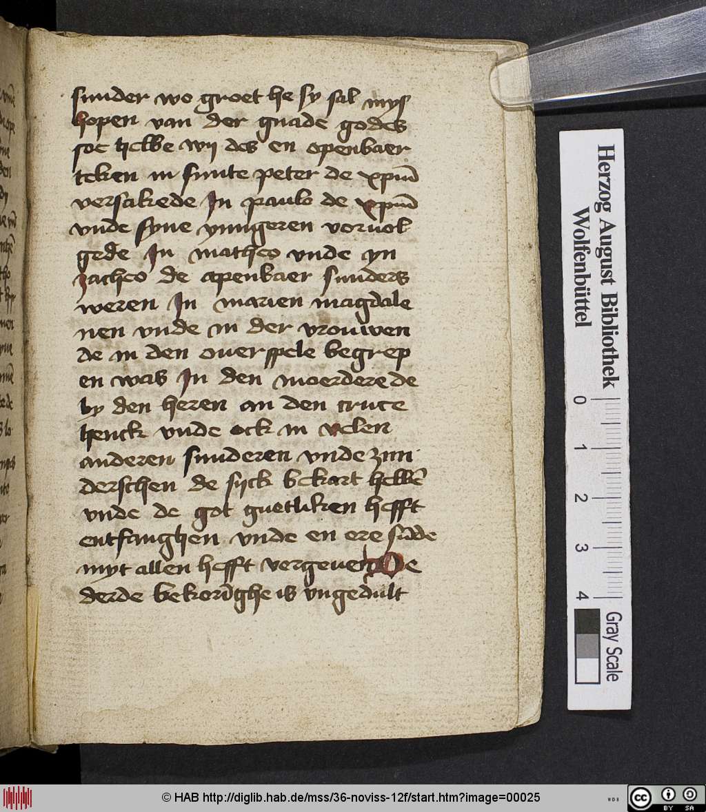 http://diglib.hab.de/mss/36-noviss-12f/00025.jpg
