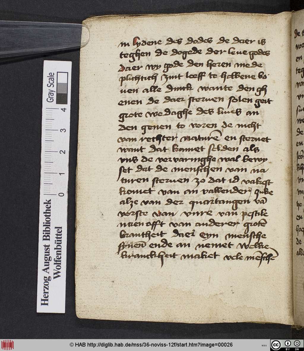 http://diglib.hab.de/mss/36-noviss-12f/00026.jpg