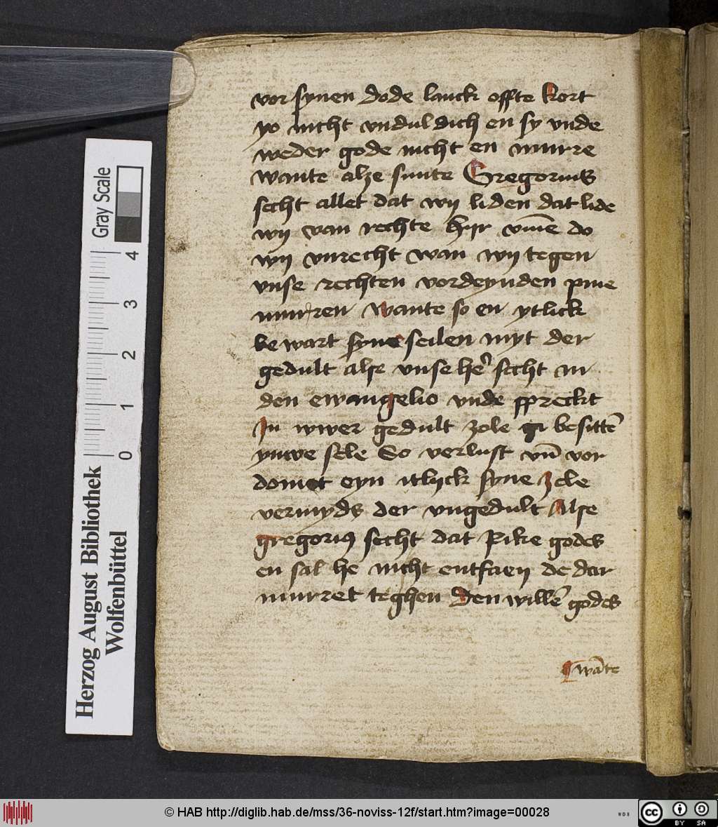 http://diglib.hab.de/mss/36-noviss-12f/00028.jpg