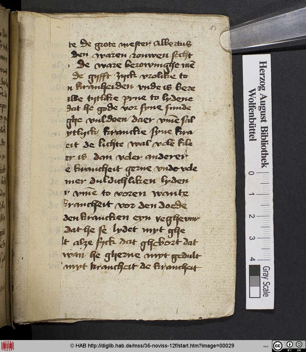 http://diglib.hab.de/mss/36-noviss-12f/00029.jpg