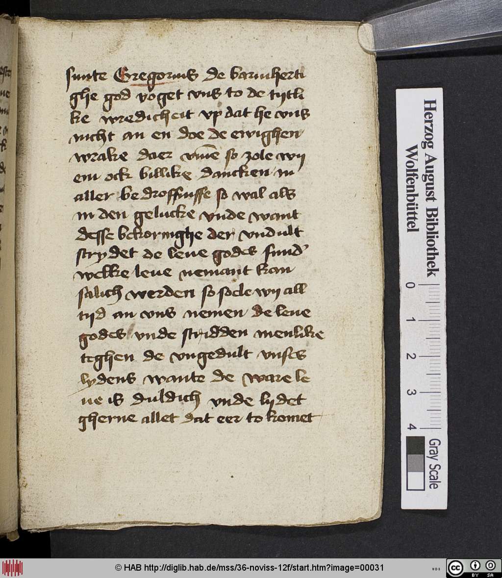 http://diglib.hab.de/mss/36-noviss-12f/00031.jpg