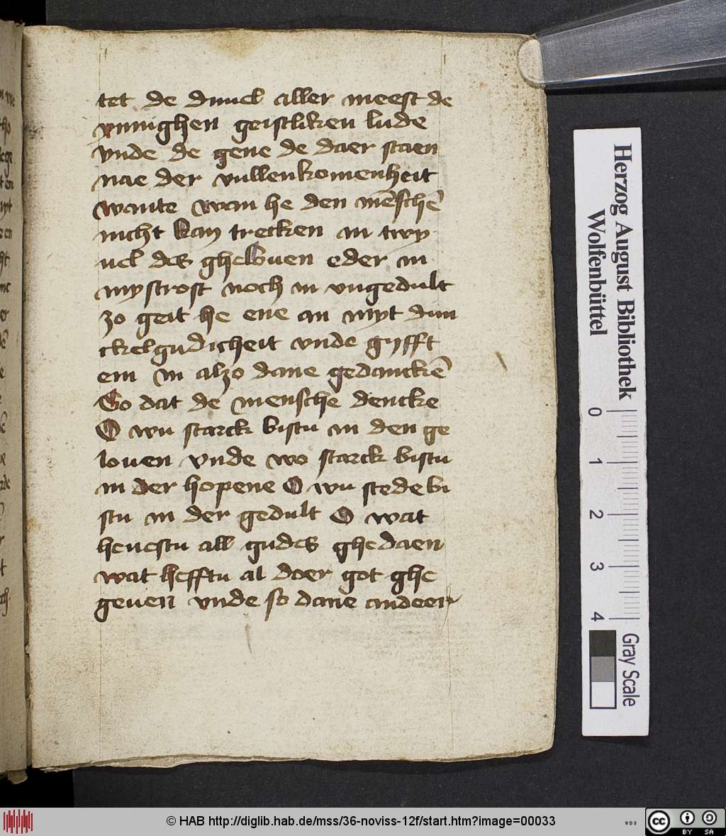 http://diglib.hab.de/mss/36-noviss-12f/00033.jpg