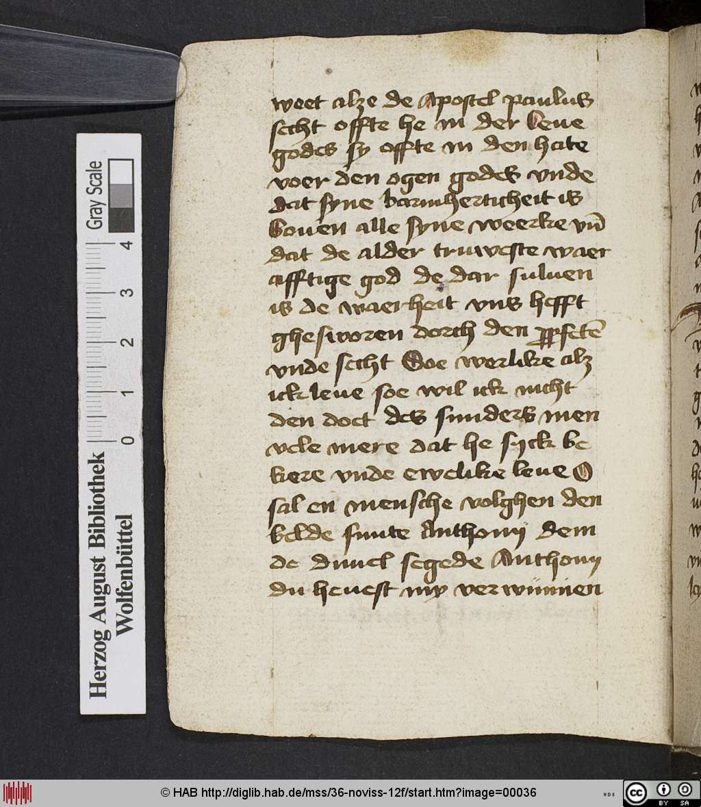 http://diglib.hab.de/mss/36-noviss-12f/00036.jpg