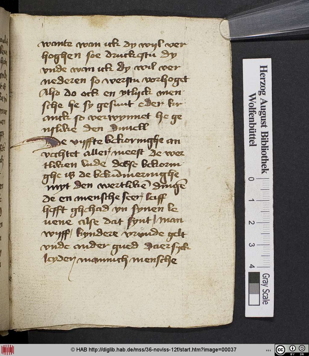 http://diglib.hab.de/mss/36-noviss-12f/00037.jpg