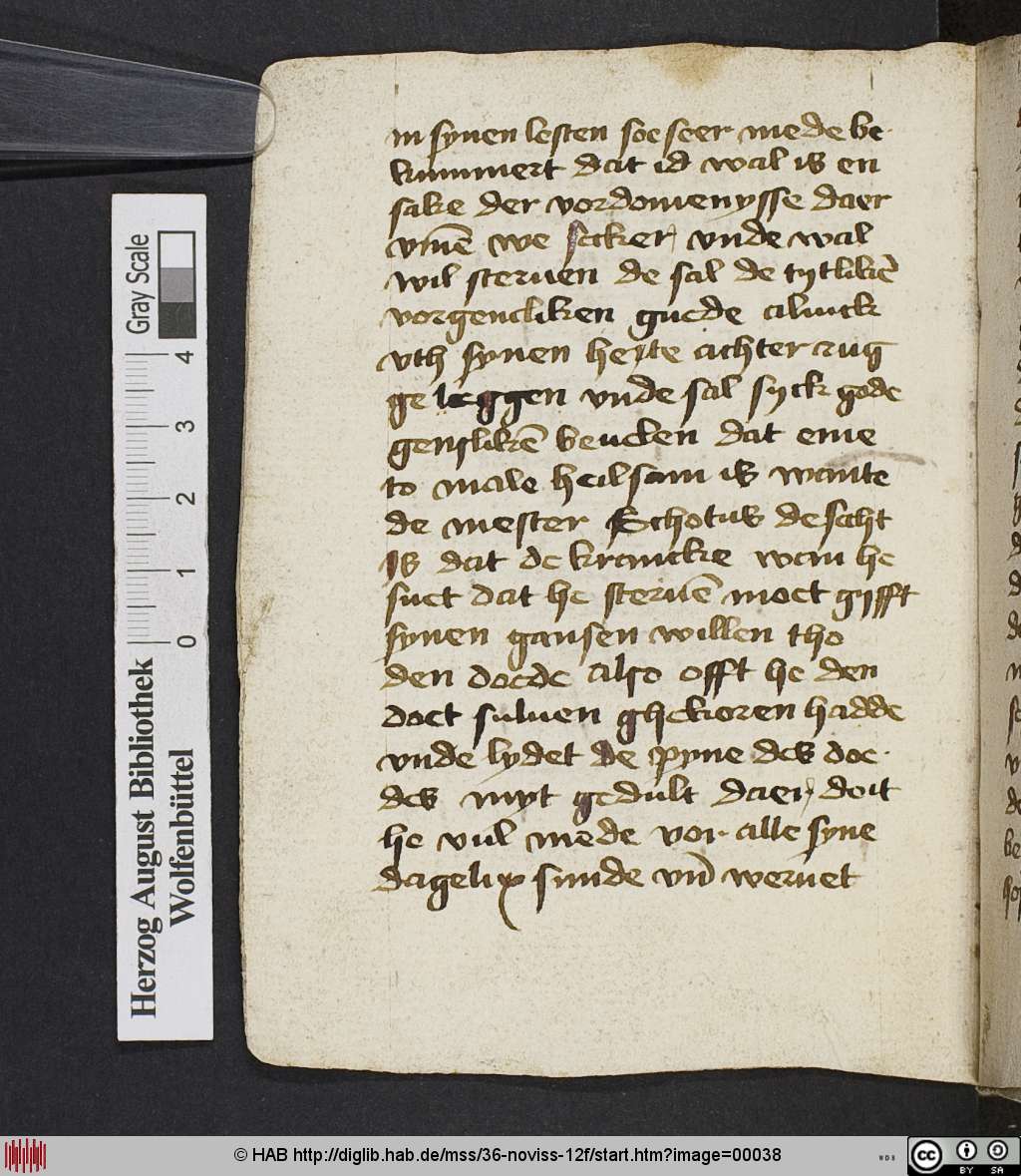 http://diglib.hab.de/mss/36-noviss-12f/00038.jpg