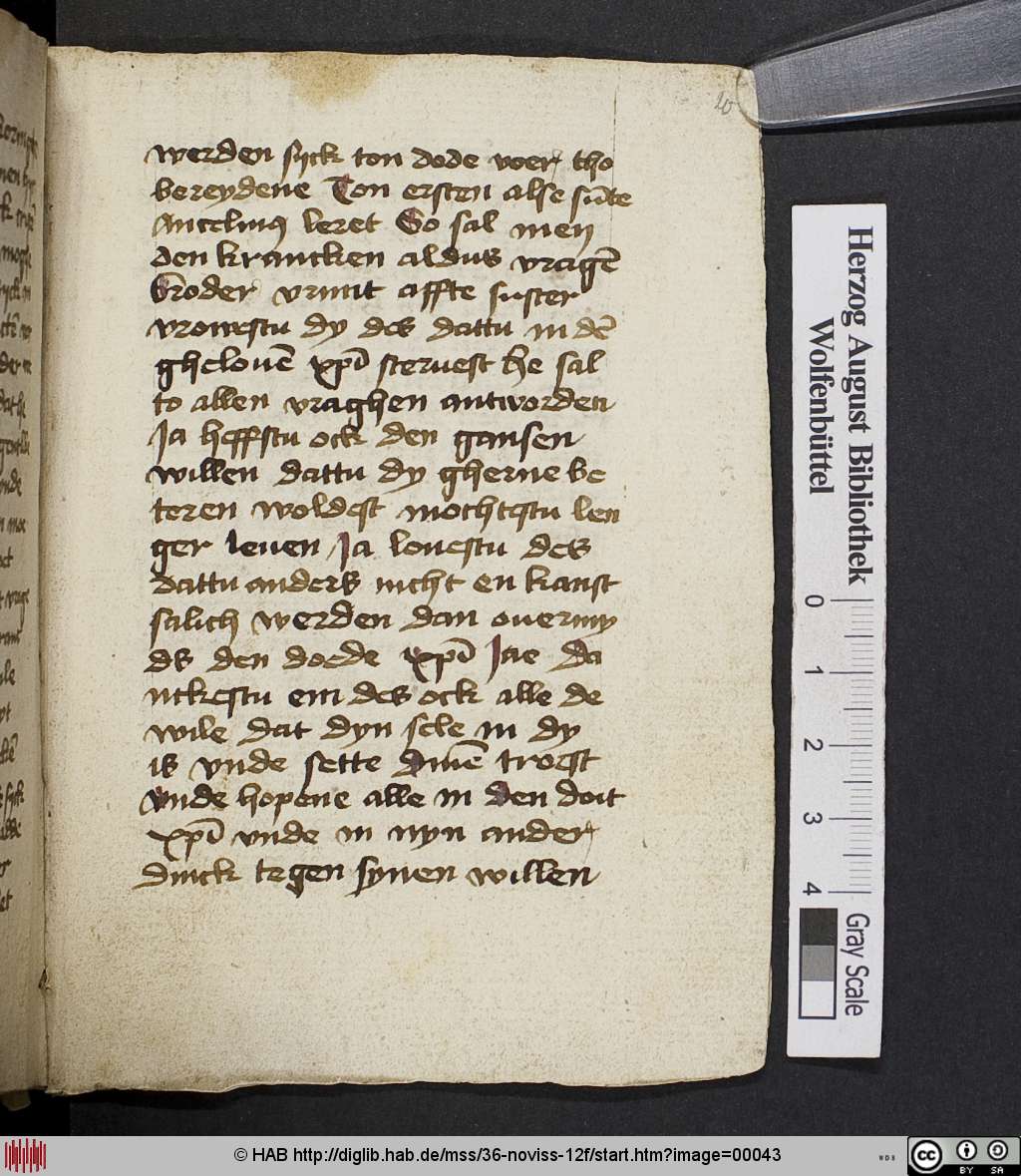 http://diglib.hab.de/mss/36-noviss-12f/00043.jpg