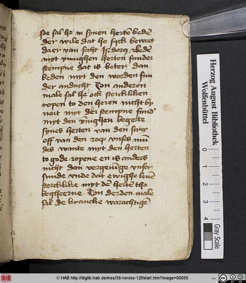 http://diglib.hab.de/mss/36-noviss-12f/00055.jpg