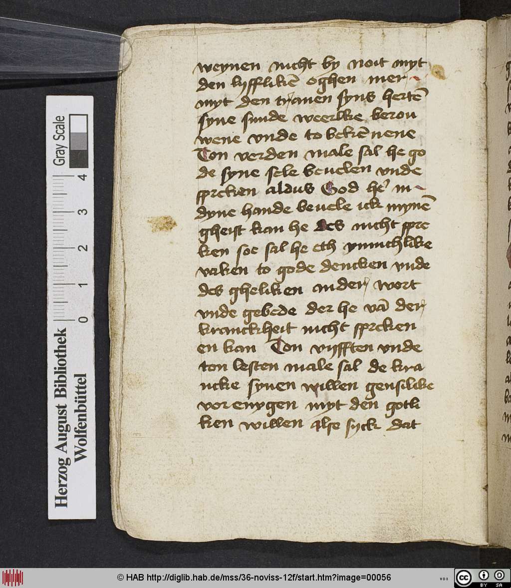 http://diglib.hab.de/mss/36-noviss-12f/00056.jpg