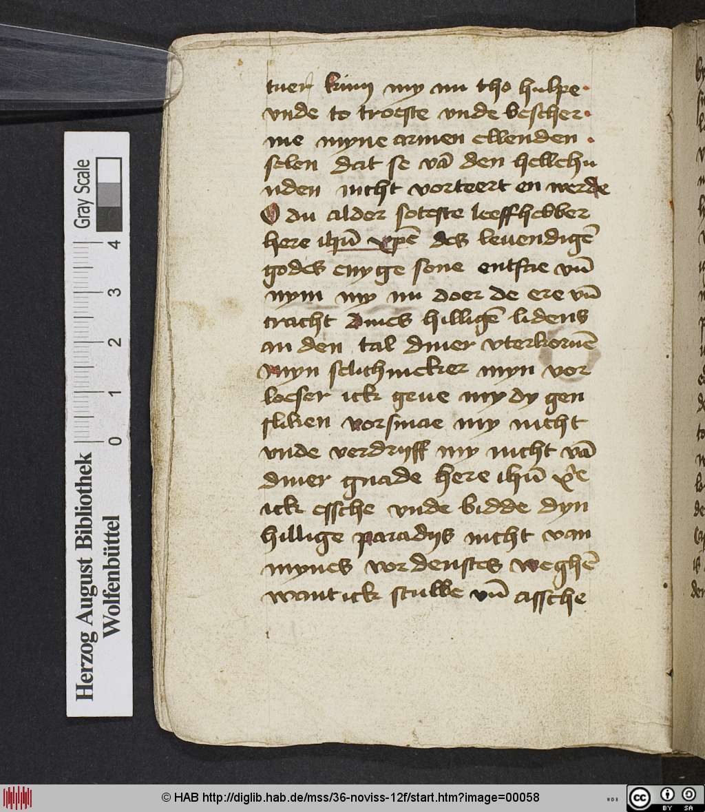 http://diglib.hab.de/mss/36-noviss-12f/00058.jpg