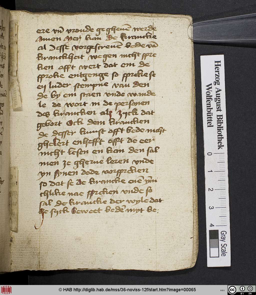 http://diglib.hab.de/mss/36-noviss-12f/00065.jpg