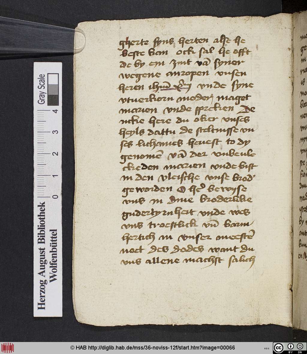 http://diglib.hab.de/mss/36-noviss-12f/00066.jpg