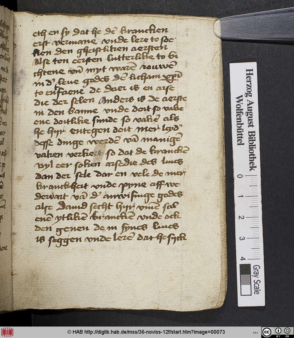 http://diglib.hab.de/mss/36-noviss-12f/00073.jpg