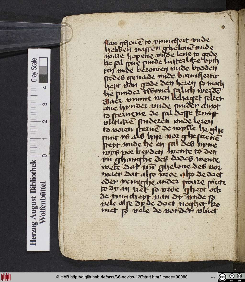 http://diglib.hab.de/mss/36-noviss-12f/00080.jpg
