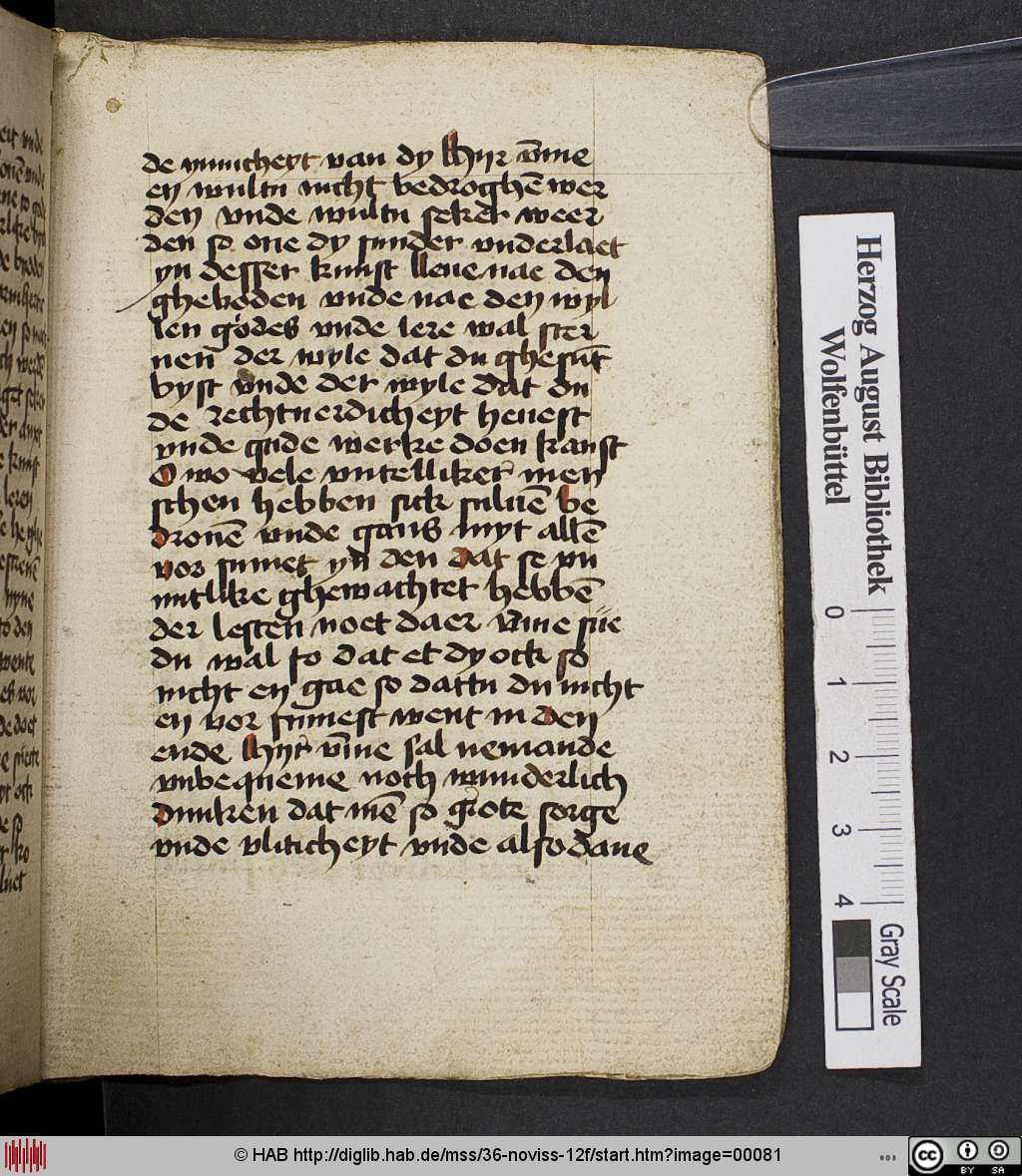 http://diglib.hab.de/mss/36-noviss-12f/00081.jpg