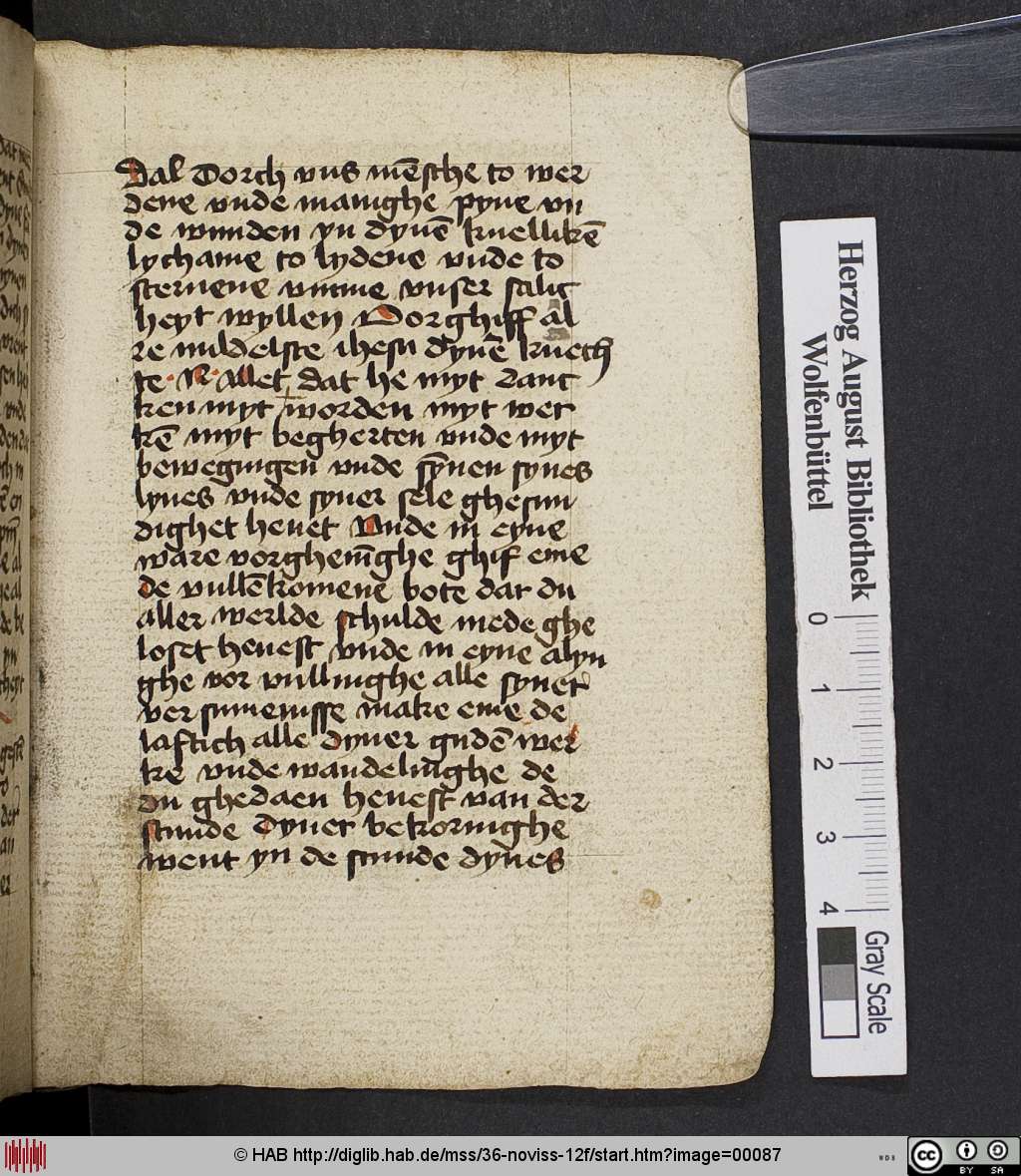 http://diglib.hab.de/mss/36-noviss-12f/00087.jpg