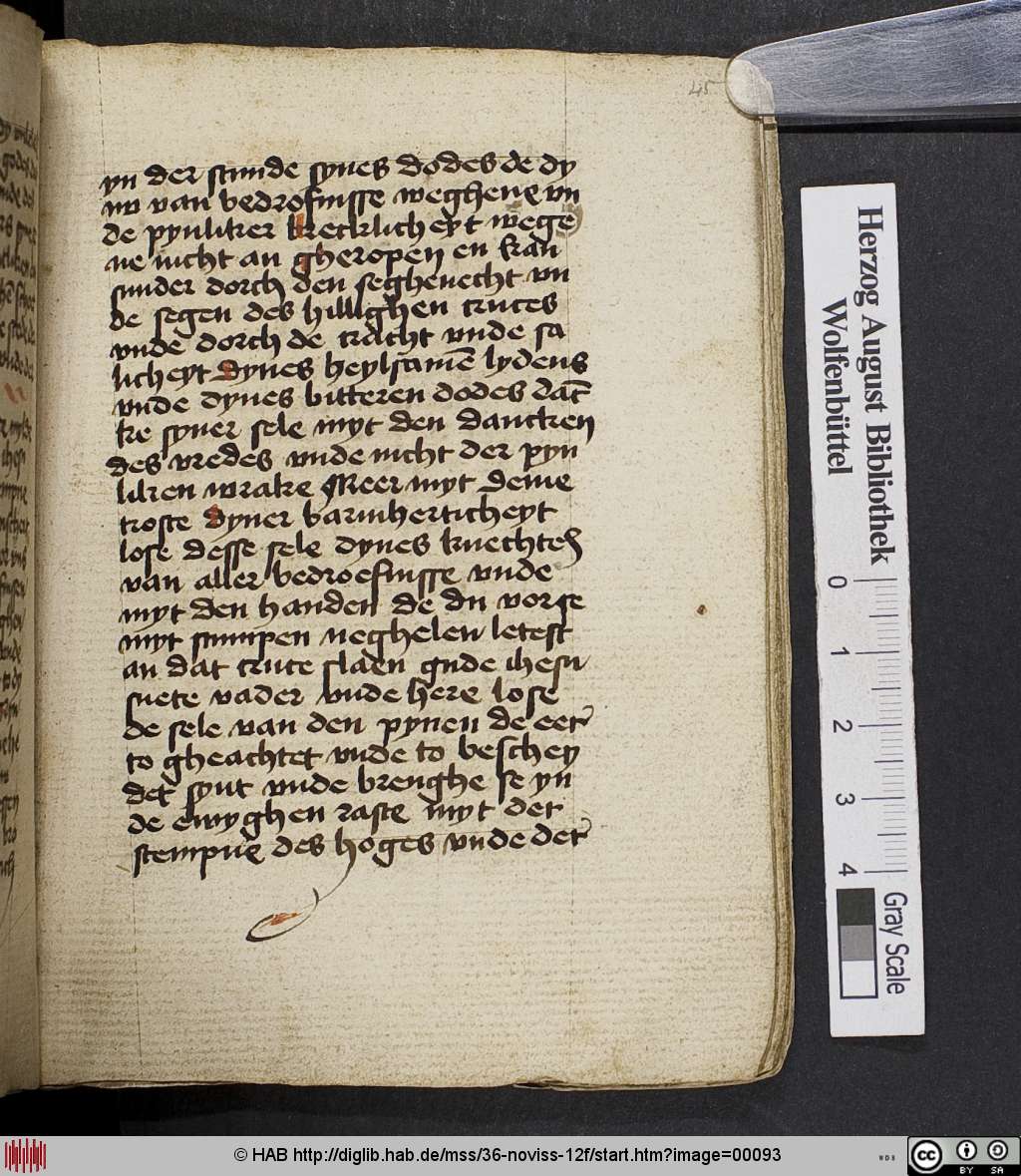 http://diglib.hab.de/mss/36-noviss-12f/00093.jpg