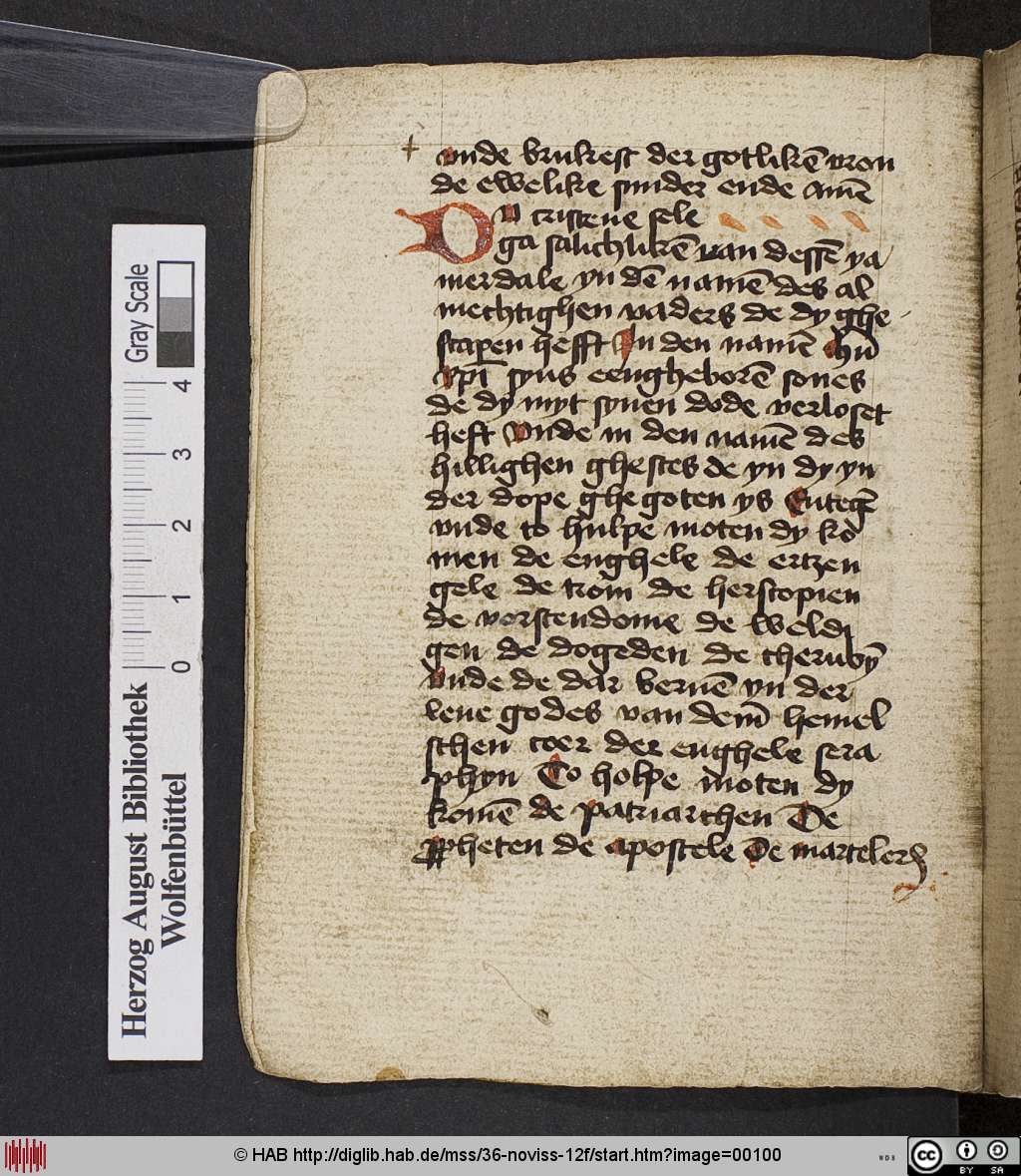 http://diglib.hab.de/mss/36-noviss-12f/00100.jpg