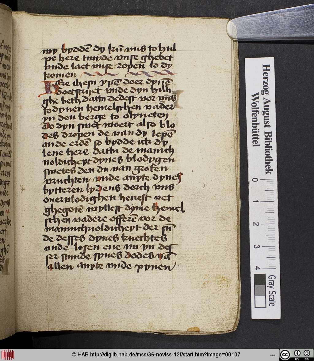 http://diglib.hab.de/mss/36-noviss-12f/00107.jpg