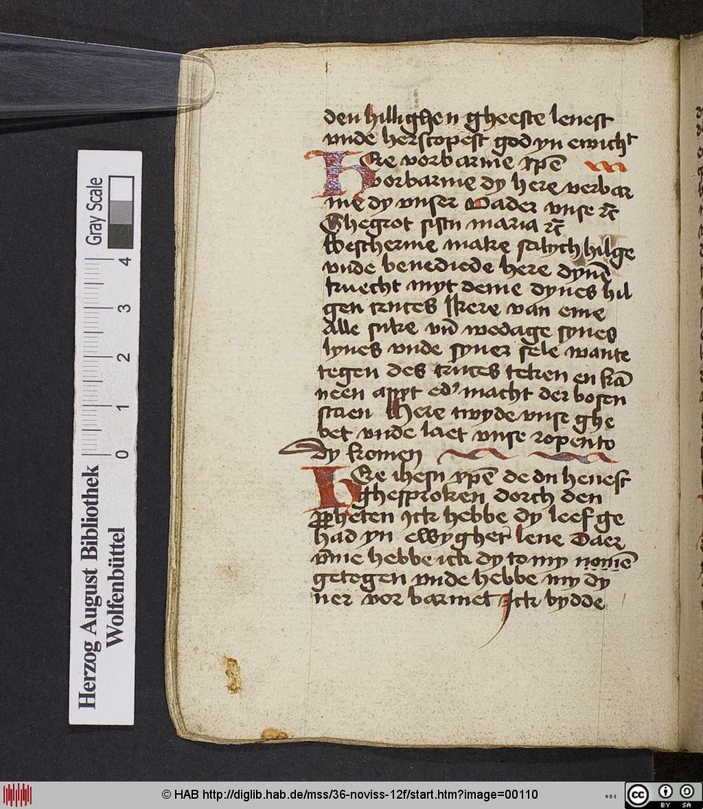 http://diglib.hab.de/mss/36-noviss-12f/00110.jpg