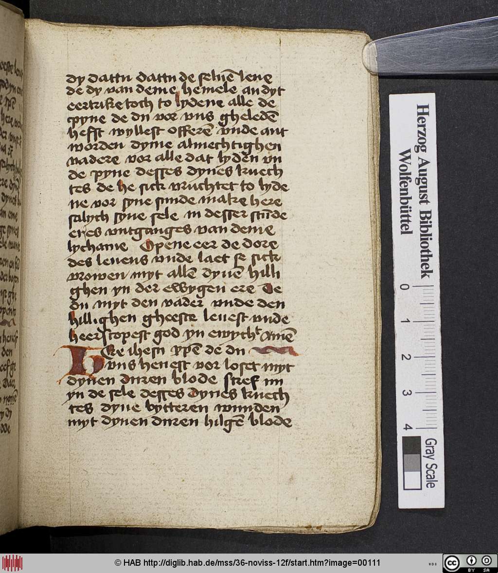 http://diglib.hab.de/mss/36-noviss-12f/00111.jpg