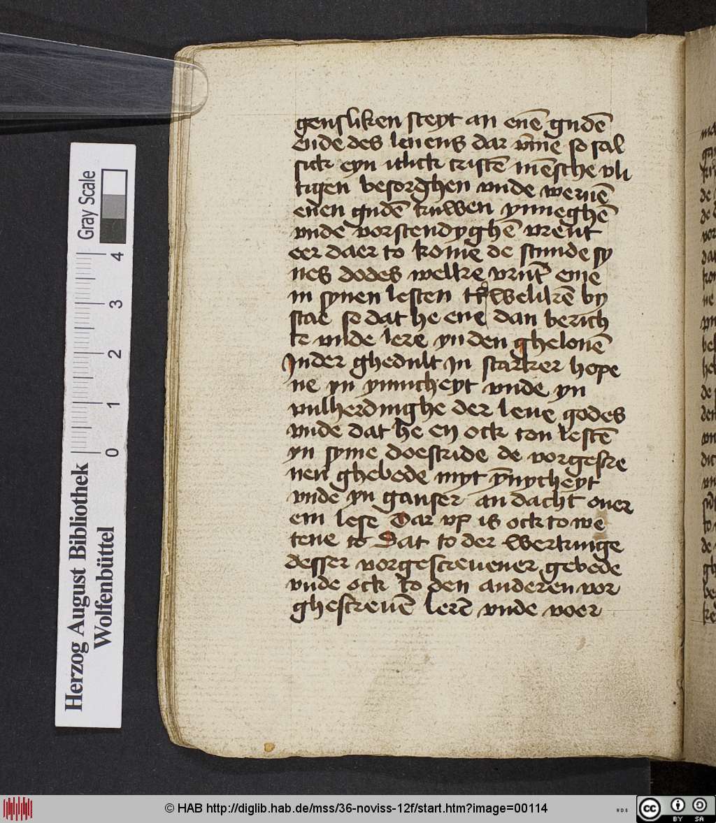 http://diglib.hab.de/mss/36-noviss-12f/00114.jpg