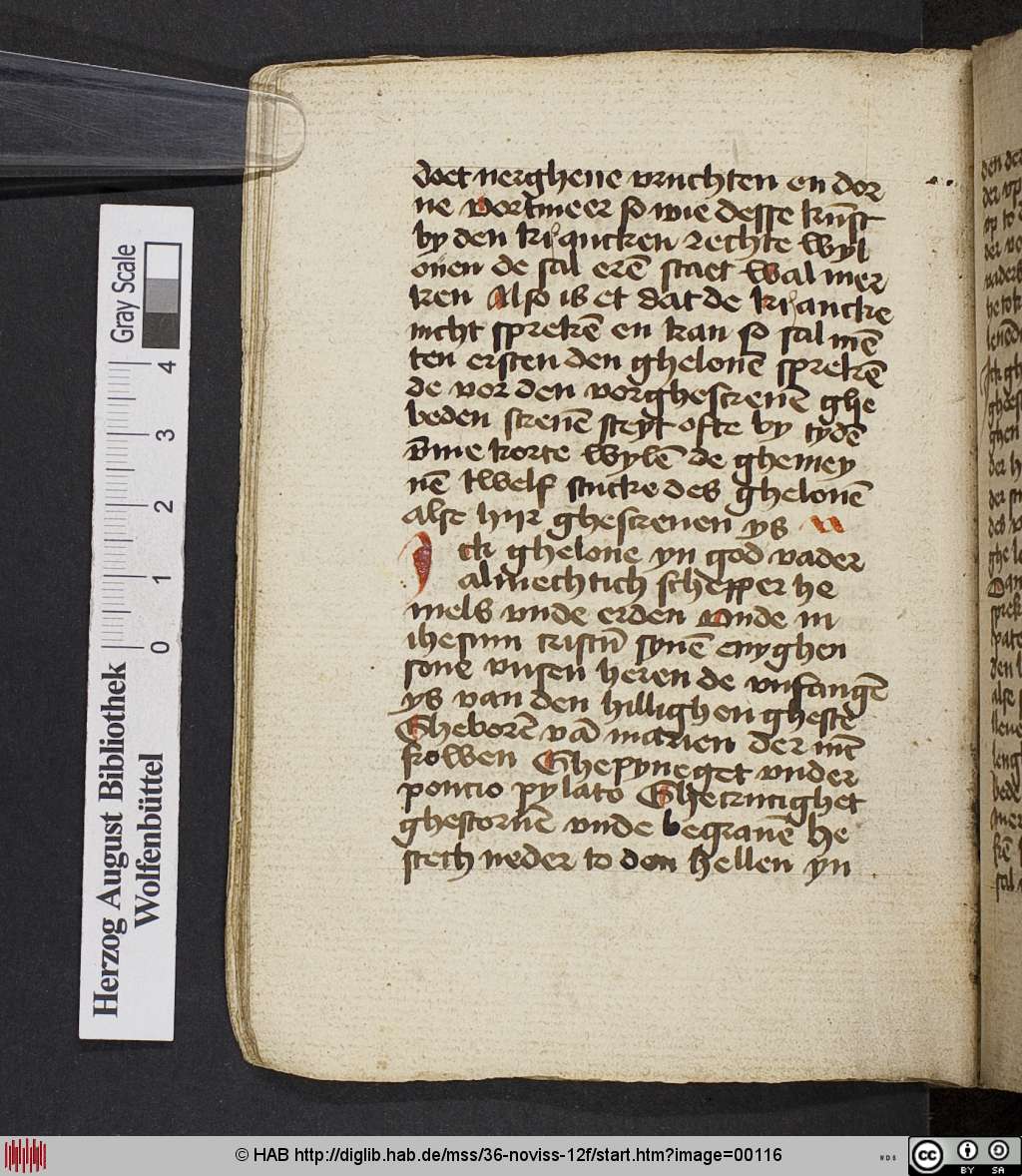 http://diglib.hab.de/mss/36-noviss-12f/00116.jpg