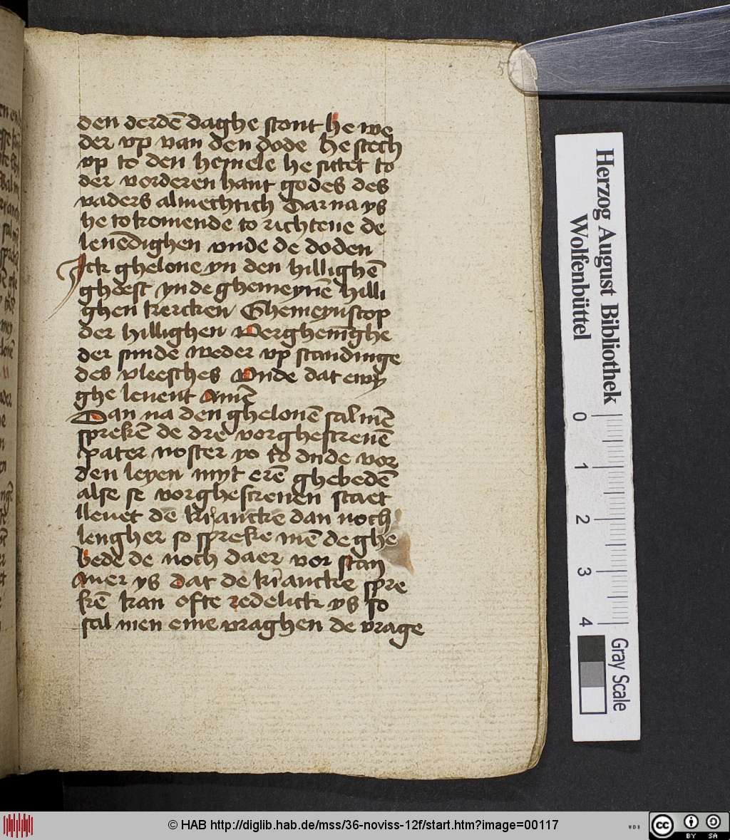 http://diglib.hab.de/mss/36-noviss-12f/00117.jpg