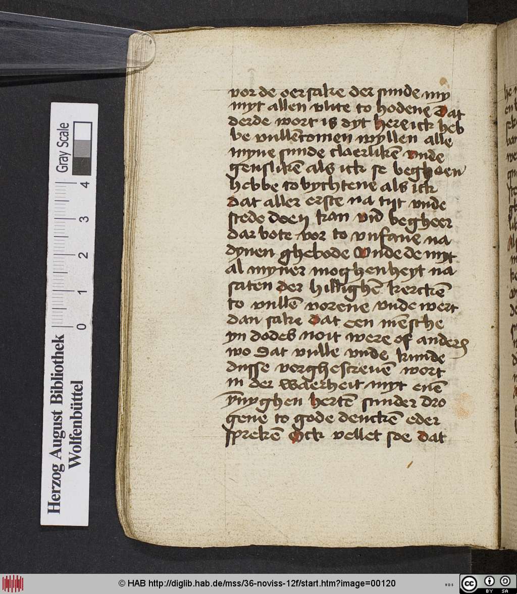 http://diglib.hab.de/mss/36-noviss-12f/00120.jpg