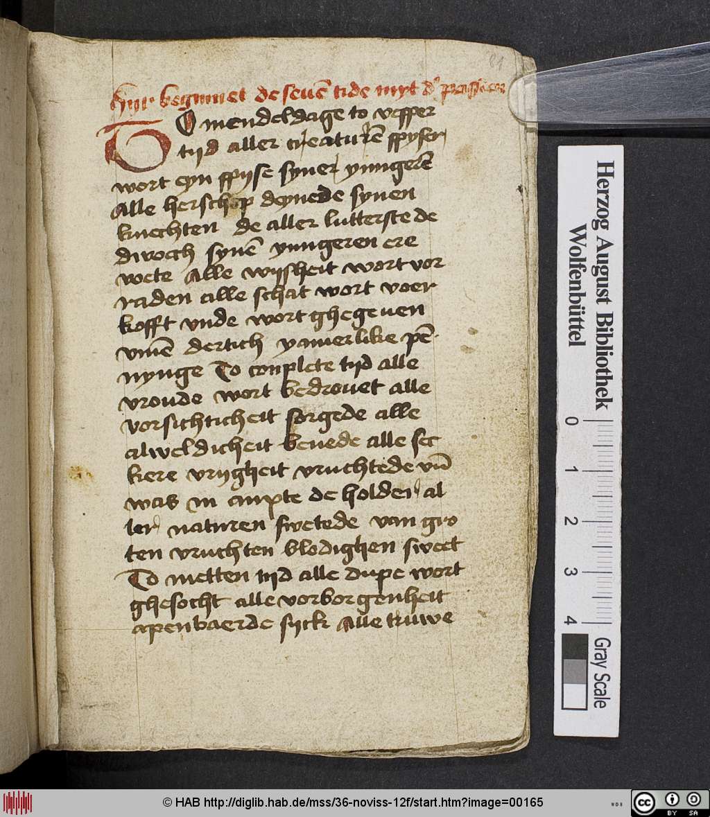 http://diglib.hab.de/mss/36-noviss-12f/00165.jpg