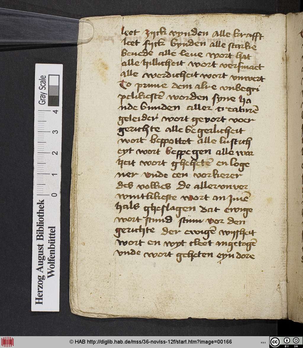 http://diglib.hab.de/mss/36-noviss-12f/00166.jpg