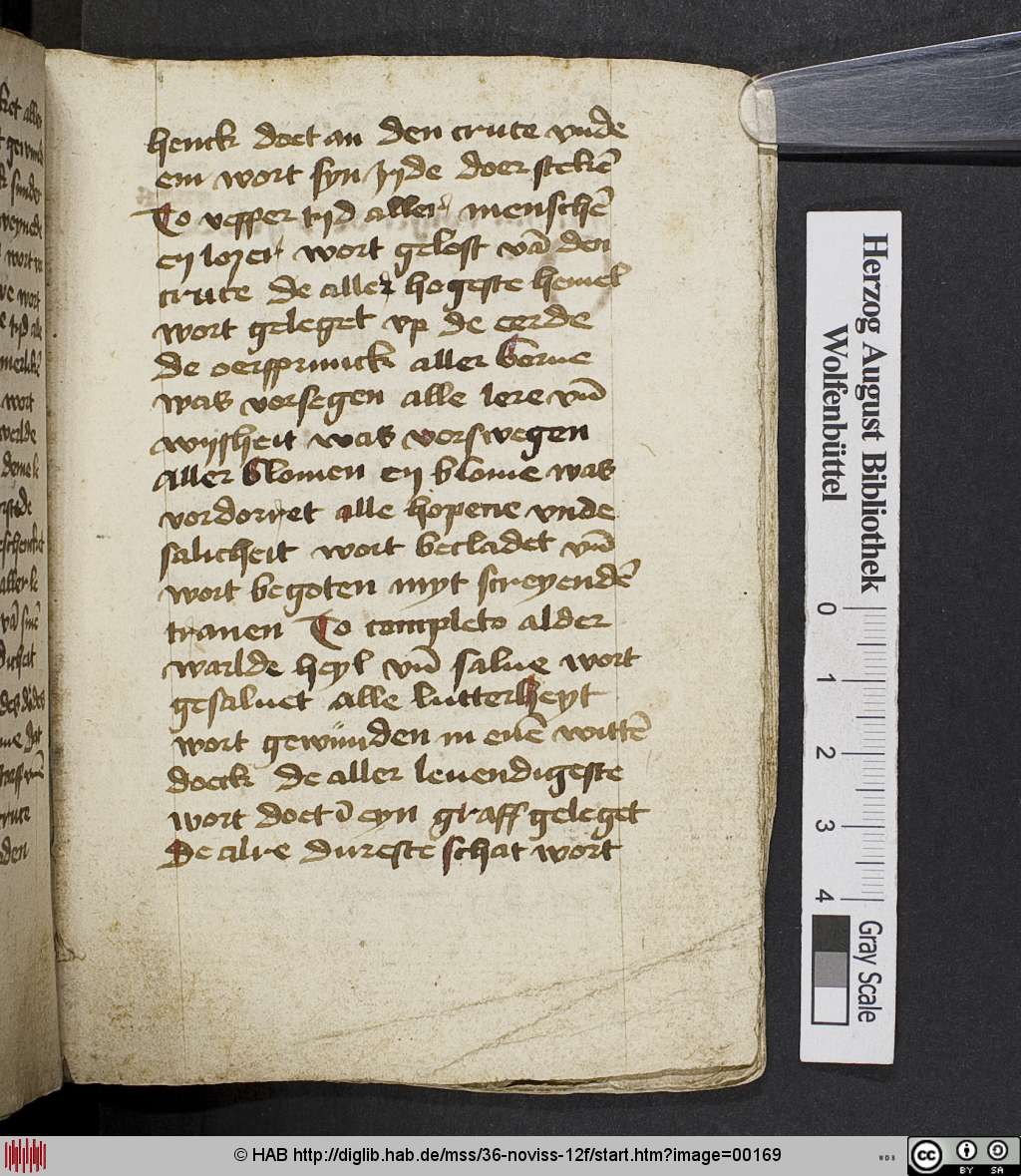 http://diglib.hab.de/mss/36-noviss-12f/00169.jpg