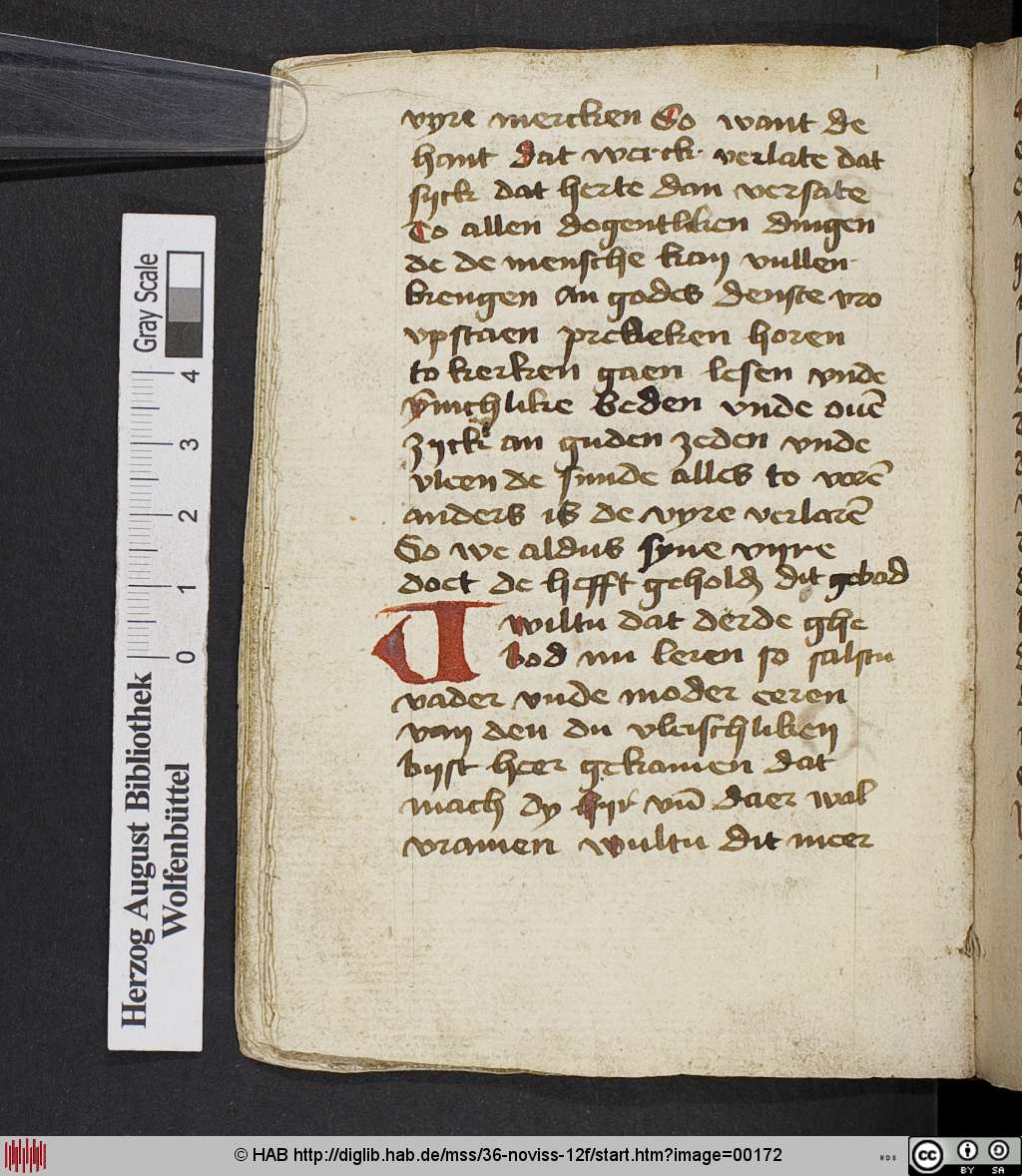 http://diglib.hab.de/mss/36-noviss-12f/00172.jpg