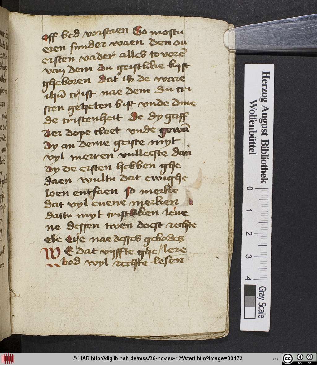 http://diglib.hab.de/mss/36-noviss-12f/00173.jpg