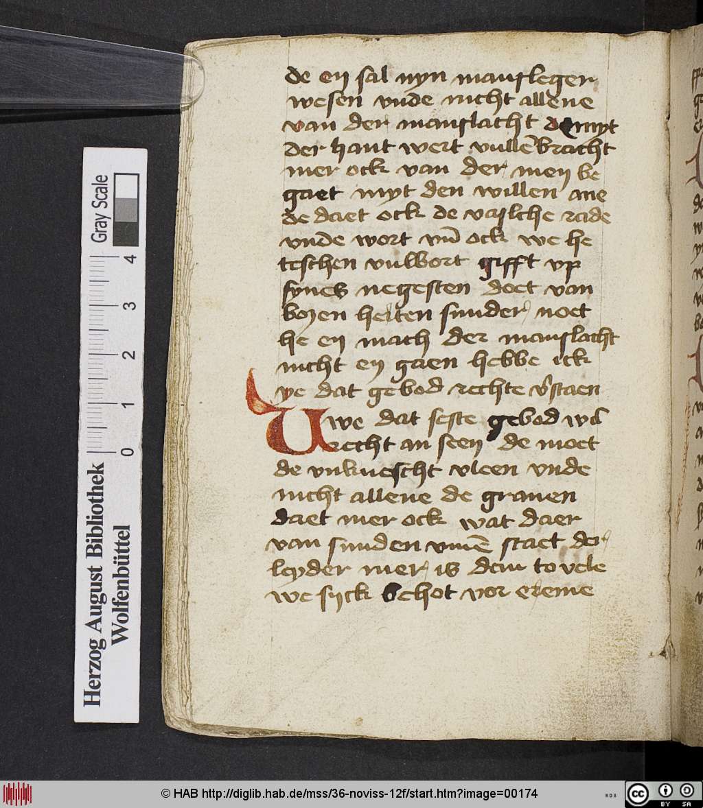 http://diglib.hab.de/mss/36-noviss-12f/00174.jpg