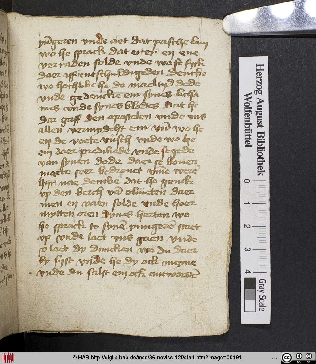 http://diglib.hab.de/mss/36-noviss-12f/00191.jpg