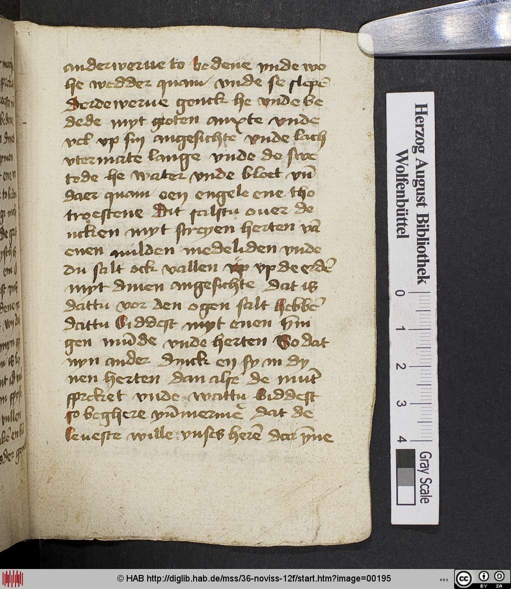 http://diglib.hab.de/mss/36-noviss-12f/00195.jpg