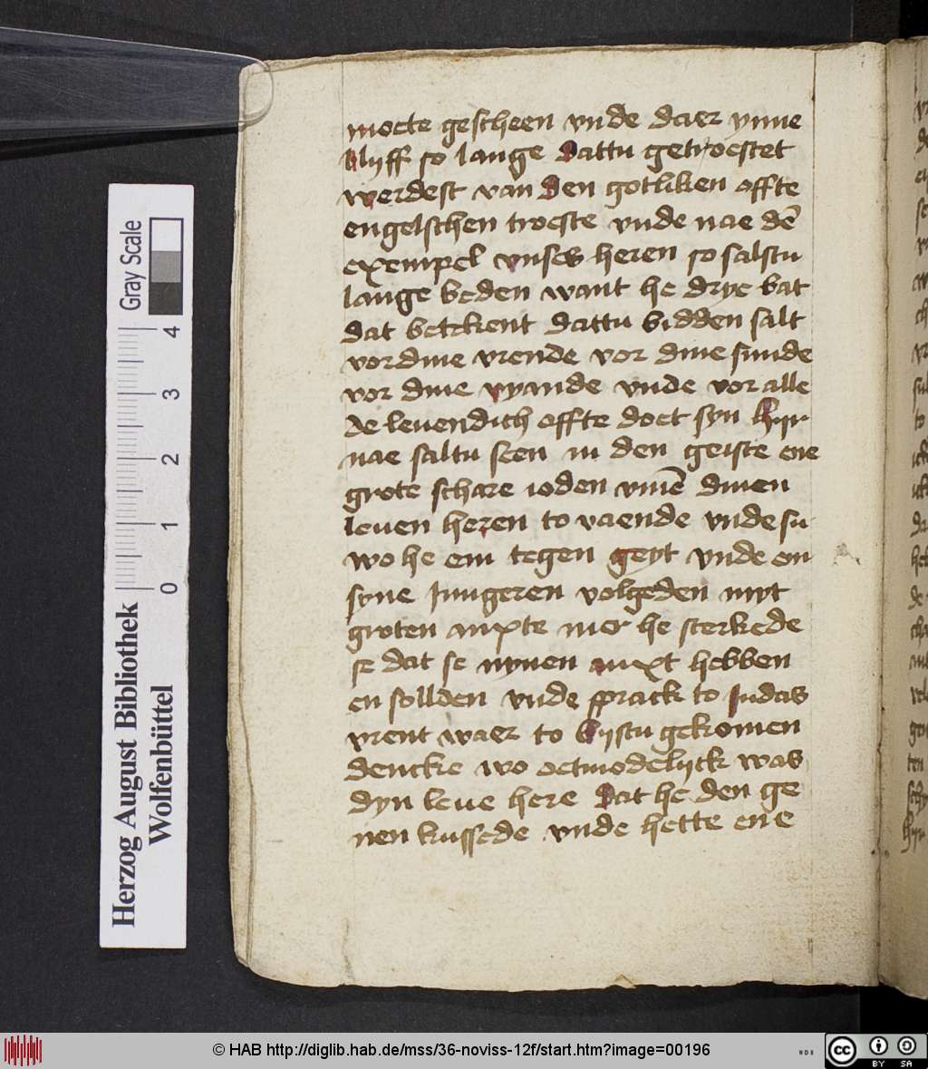 http://diglib.hab.de/mss/36-noviss-12f/00196.jpg