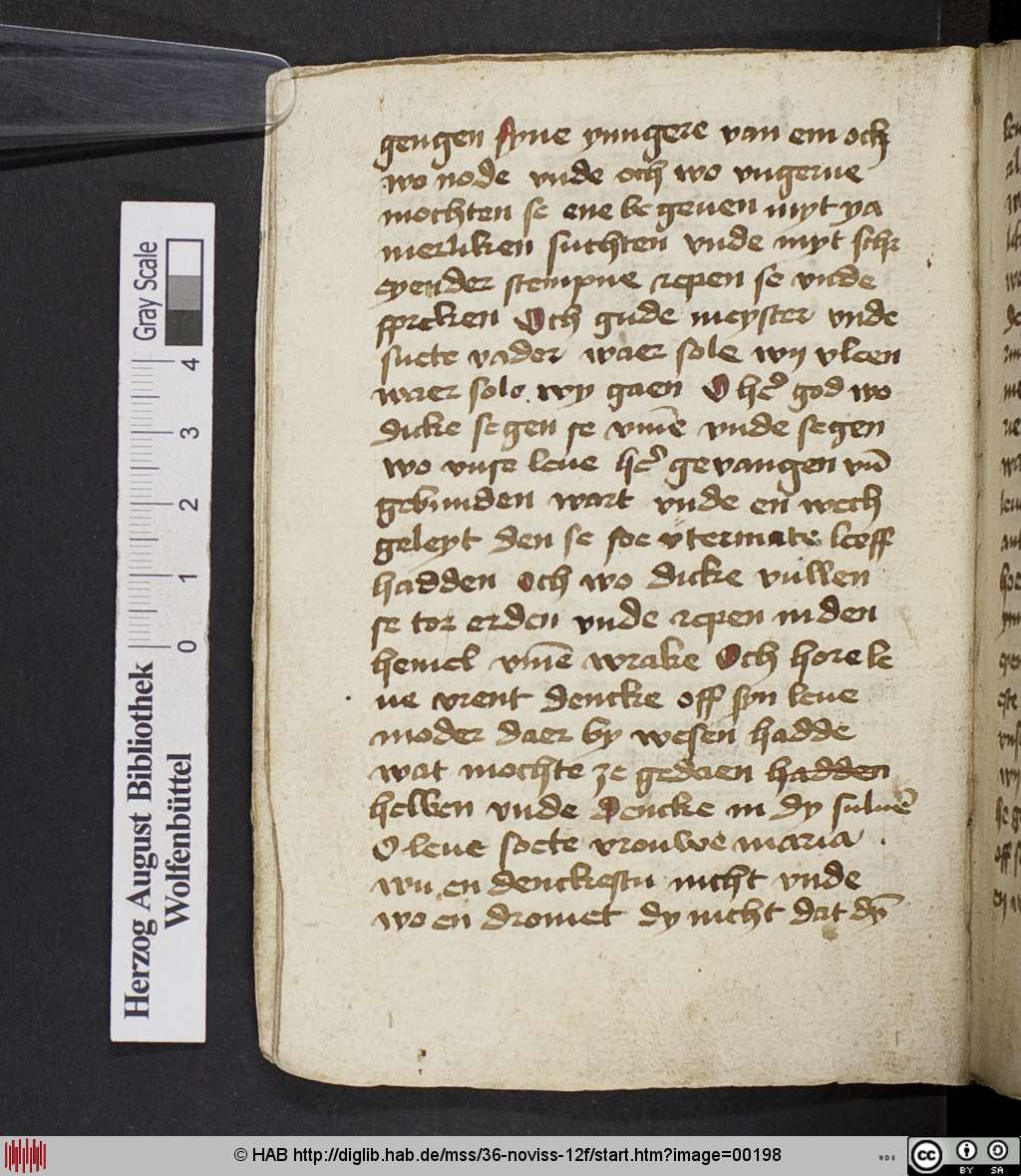 http://diglib.hab.de/mss/36-noviss-12f/00198.jpg