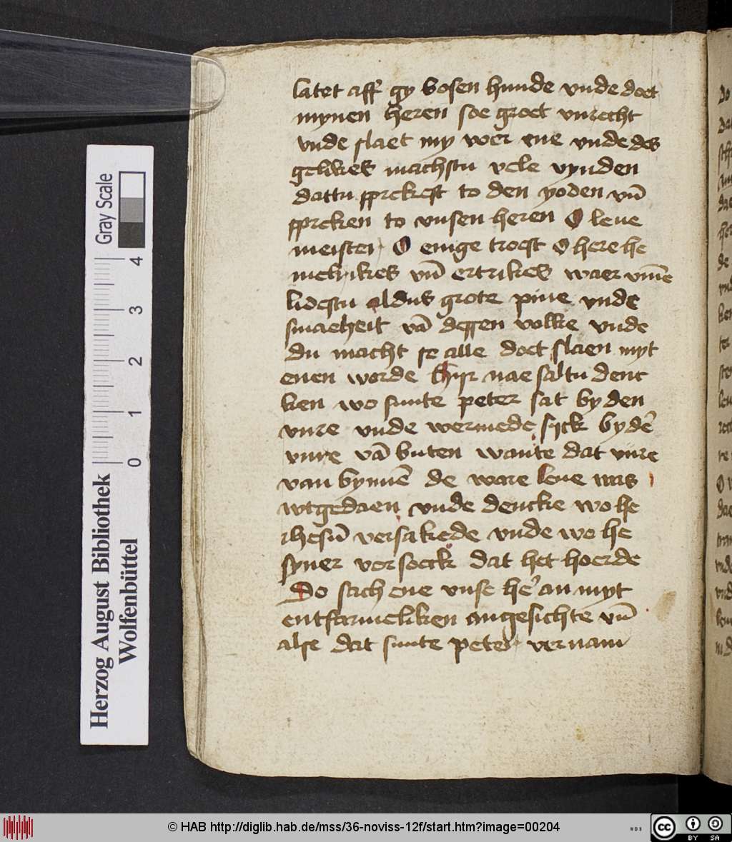http://diglib.hab.de/mss/36-noviss-12f/00204.jpg
